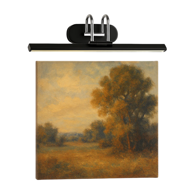 Ndriçues LED për Piktura 12W |3 Ngjyra | 58 cm