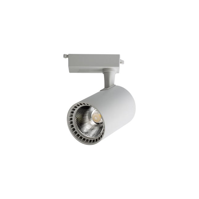 SPOT SHINI I BARDHË 30W |3000K