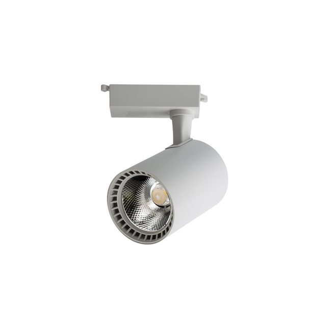 SPOT SHINI 30W I BARDHË