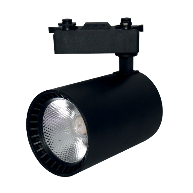 SPOTE SHINI 30W E ZEZË